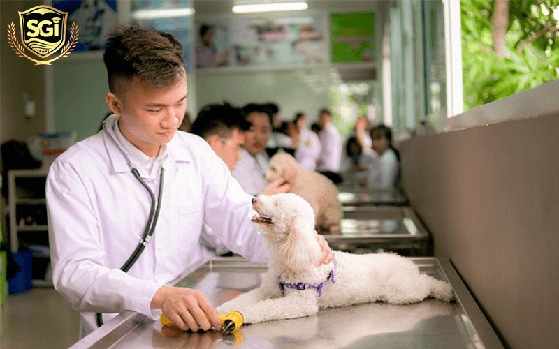 THÔNG BÁO TUYỂN SINH NGÀNH THÚ Y NĂM 2020