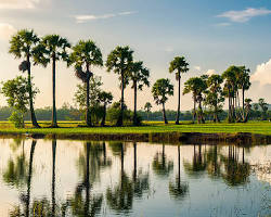 Hình ảnh về Giang Province landscape