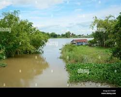 Hình ảnh về Giang landscape with Mekong Delta river