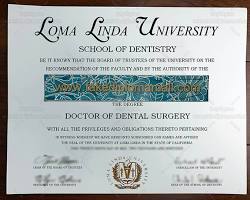 Hình ảnh về University degree in Dentistry